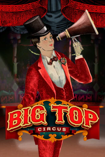 Демо игрового автомата Big Top | SELECTOR BY 