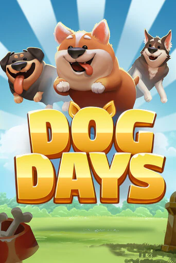 Демо игрового автомата Dog Days | SELECTOR BY 