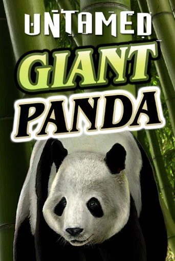 Демо игрового автомата Untamed - Giant Panda | SELECTOR BY 