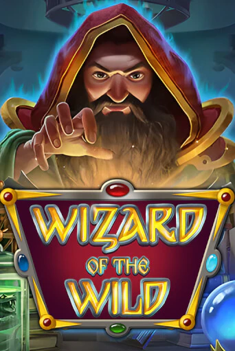 Демо игрового автомата Wizard of the Wild | SELECTOR BY 